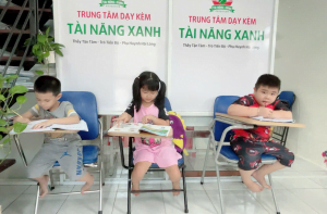DẠY KÈM VĂN HÓA TẠI NHÀ day kem tai quan 12 tai nang xanh